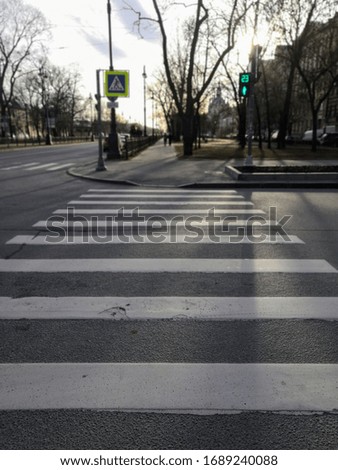 Cityscape of asphalt road with zebra crosswalk and green traffic light