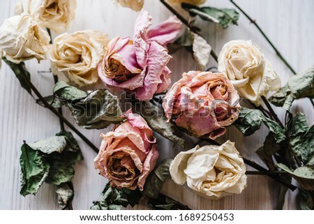 Bouquet of dried, colored flowers lying on a white background of the table. Place for text and design. Greeting card. Flowers composition.