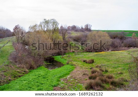 Picture of green meadows, yellow and white flowers, trees and a beautiful sky. Spring picture