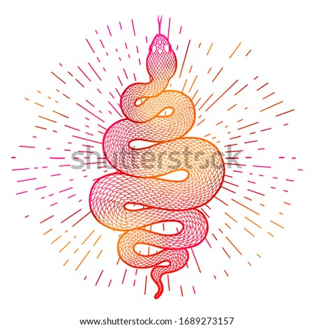 Coiled snake with rays of light illustration. Colorful tribal serpent isolated over white background. Vector tattoo design.