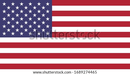 United States of America flag - USA - vector illustration