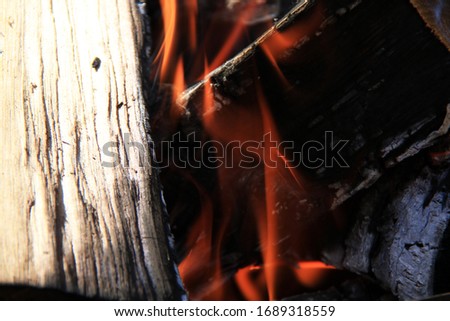 burning firewood and coals close up