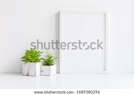 Houseplants in marble pots and photo frame near white wall. Minimal home decor, mockup.