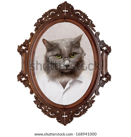 Portrait of a cat of the gentleman on a white