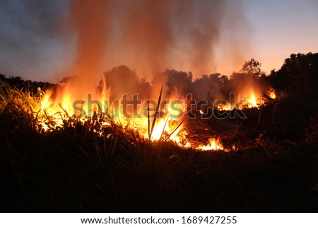 Fire at the jungle intentionally caused by villager with the purpose of purging brushwood