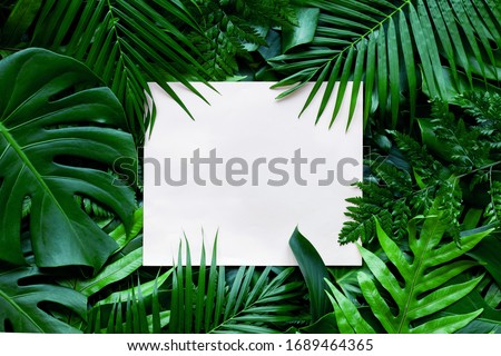 tropical green leaves and palms  background with white paper card note, nature flat lay concept
