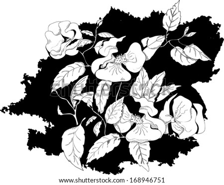 Beautiful flowers, monochrome image in the style of line drawings