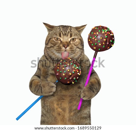 The beige cat is licking chocolate cake pops. White background. Isolated.