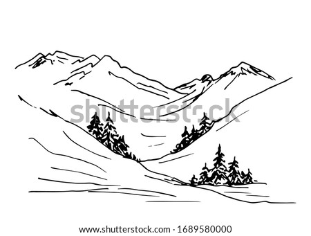 Hand-drawn black outline vector drawing. Wildlife, mountain view, conifers, spruce. Natural landscape, gorge. Hiking, pass. The nature of the mountainous northern countries.