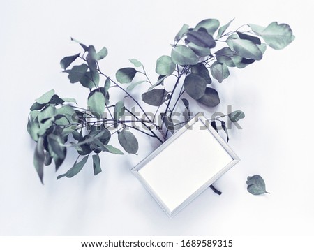 A metal photo frame is on a white background. Nearby is a branch of eucalyptus. Flat lay. Copy space.