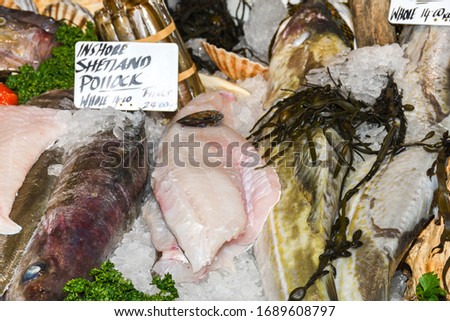 Seafood on ice at the fish market: crabs, fish, sturgeon, shellfish, shrimp, rapana, dorado, octopus, salmon, sashimi marlin, calamari, monk fish, Shetland mackerel, pollock, scallop, razor clam