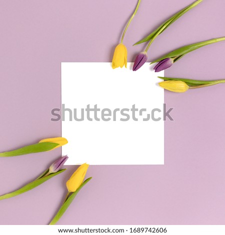 Frame made of flowers on a purple pastel background. Square paper card mockup. Spring concept.