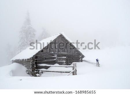 Beautiful winter landscape with a hut in the fog in Carpathians, Ukraine, Europe