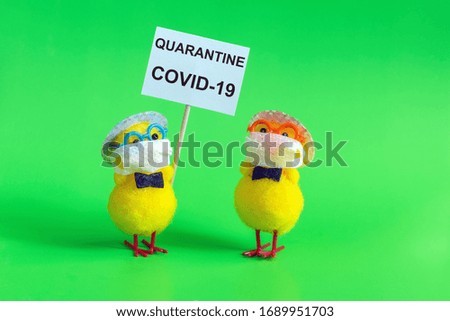 Chicken in a mask with a sign quarantine, covid-19. The concept of protection against coronavirus ncov-19.