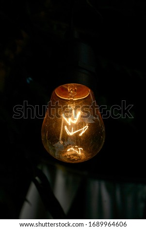 LAMP PHOTO IN THE GARDEN                 