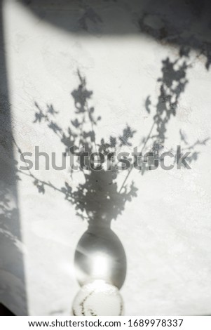 Tine vase with cherry blossom branch casting shadows on a white surface. Spring vibes concept Royalty-Free Stock Photo #1689978337