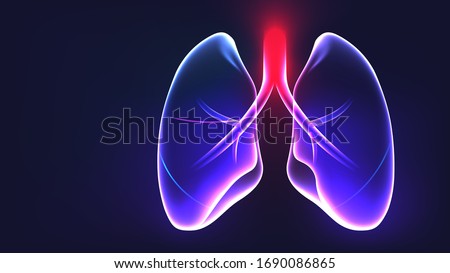 Lungs anatomy part glowing light X-ray abstract concept vector illustration Royalty-Free Stock Photo #1690086865
