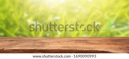 Empty wooden plank or table with grass or meadow background, natural header or banner with space for text