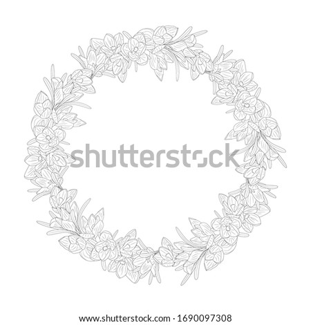 Hand drawn monochrome crocus flowers round wreaths. Floral design element. Isolated on white background. Vector illustration.