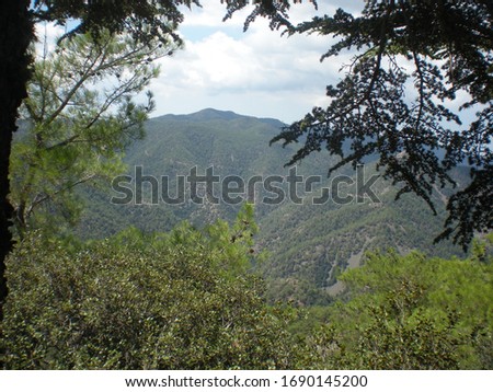 Those photos were captured during a journey to Trodos mountains in Cyprus.