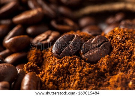 close up picture of coffee beans in studio