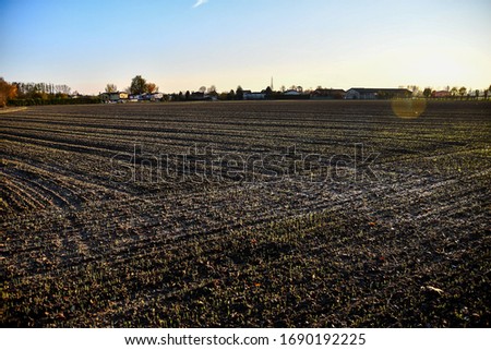 plowed field in spring, digital photo picture as a background