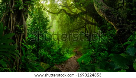Tropical jungles of Southeast Asia in august Royalty-Free Stock Photo #1690224853
