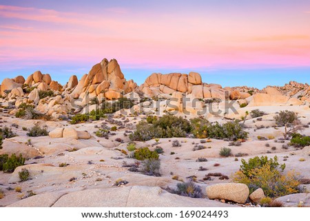 Joshua Tree National Park, Mojave Desert, California Royalty-Free Stock Photo #169024493