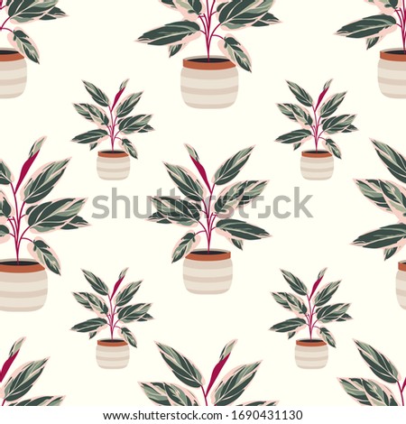 Decorative house plants seamless pattern. Indoor calathea plant Royalty-Free Stock Photo #1690431130