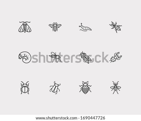 Insect icons set. Bee and insect icons with cicada, slug and bedbug. Set of stinging for web app logo UI design.