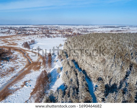 Rural landscape, countryside. Pine snowy forest in winter. Trees covered with snow. Aerial view. Nature background