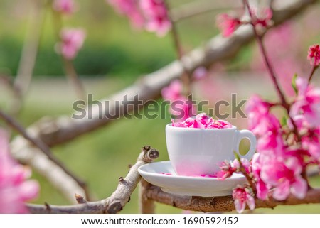 Cup of coffee with spring flower petals in the spring garden