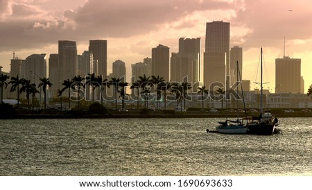 The skyline of Miami Downtown at sunset