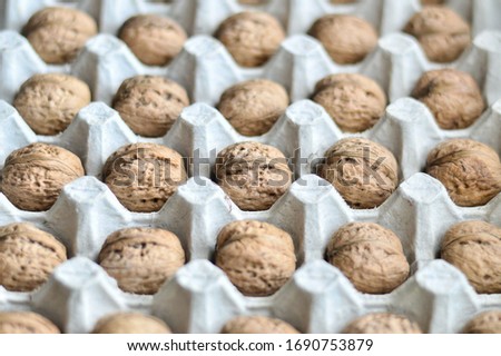 Walnuts are in the package of eggs. Creating patterns.