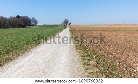 Footpath leading into the distance. Diminishing perspective. Blue sky and some trees at the horizon. Green meadow on the left, a brown field on the right. Concept for long lasting challenge. Royalty-Free Stock Photo #1690760332