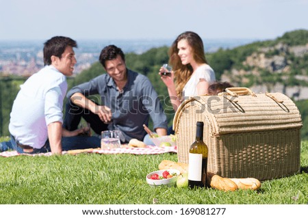 Picnic Basket In Front Of Group Of Friend Enjoying Wine Outdoor