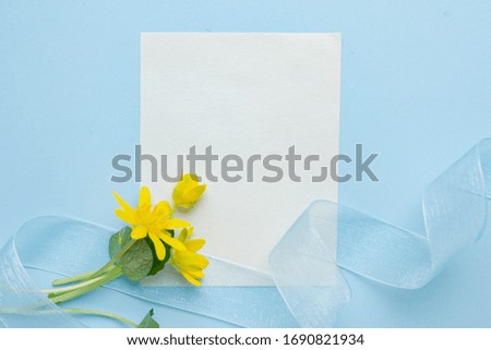 mockup card with plants. invitation card with envelope and details. tender Mockup with postcard and flowers with ribbon.