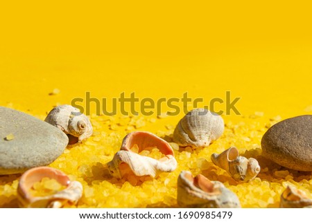Seashells and stones on a bright yellow sandy background. Summer background with bright sunlight. Travel and vacation concept