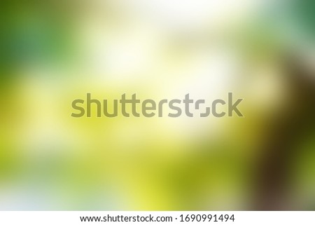 Beautiful blurred multicolored tree background and morning sun