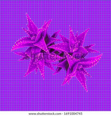 Contemporary art collage. Geometry and purple cactus creative concept