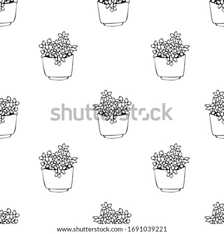 Cute hand drawn element of flower pot seamless pattern. Doodle vector illustration house plants for wedding design, logo and greeting card. Isolated on white background.