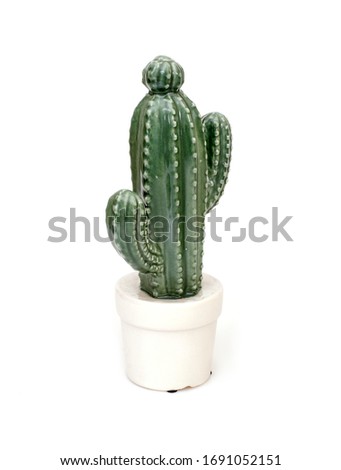 Ceramic cactus Isolated on white background