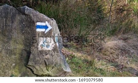 Image of a cyclist on a stone in the forest. A sign for cyclists to show the way. closeup of a cobblestone with a picture of a bicycle