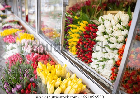 Full shot of colorful tulips in market