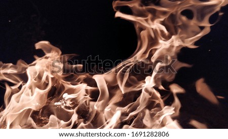 Fire flaming and dark background of night, burning woods