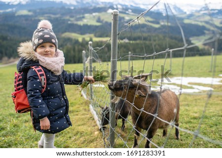 Picture of cute little caucasian girl in warm clothes feeds green grass of a mountain goat through a fence in the mountains and rejoices