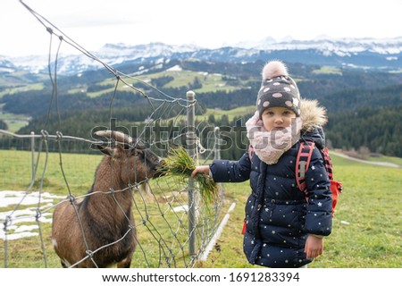 Picture of cute little caucasian girl in warm clothes feeds green grass of a mountain goat through a fence in the mountains and rejoices