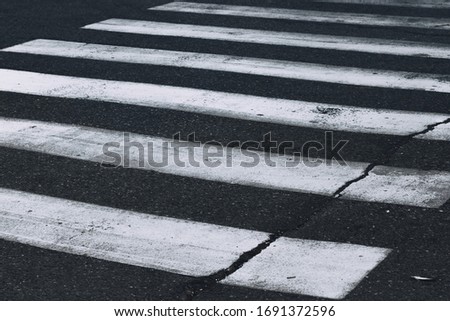 Zebra crossing on outdoor road. Some pedestrians lines on a black road