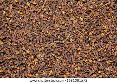 Clove (Syzygium aromaticum) texture, background. Used as a spice in cuisines all over the world. The plant is also used in medicine.