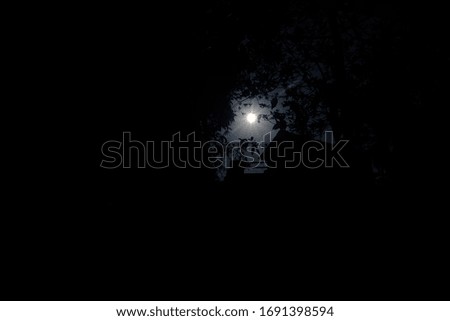 night photography with bright moon top view